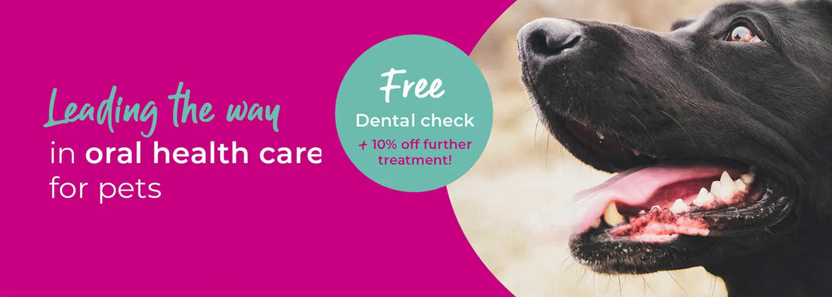 The Barn Animal Practice - Vets in Basingstoke