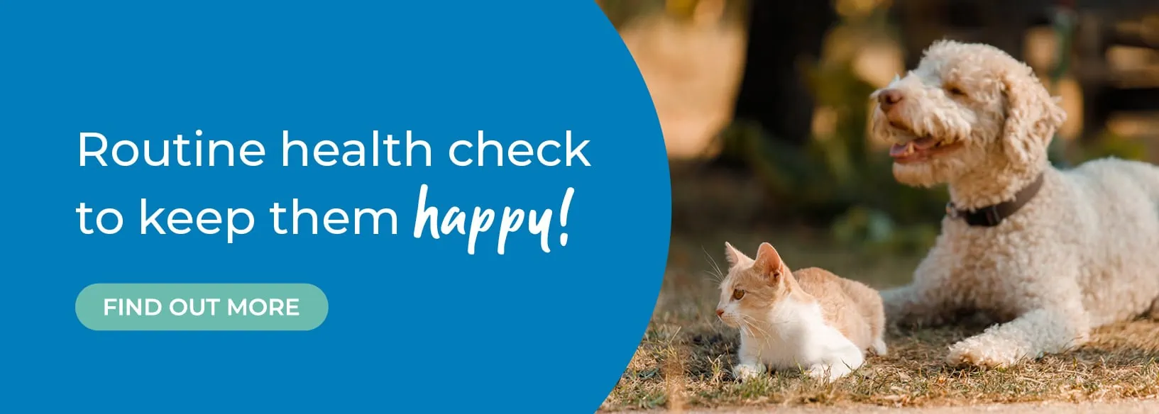 The Barn Animal Practice - Vets in Basingstoke