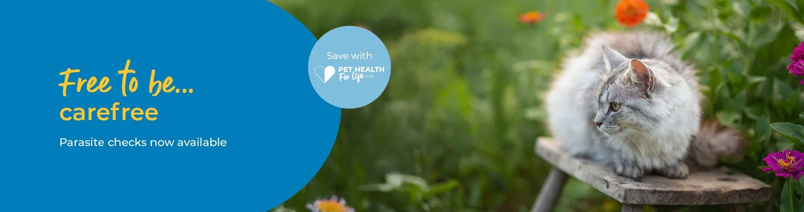 Flea and Worming Advice