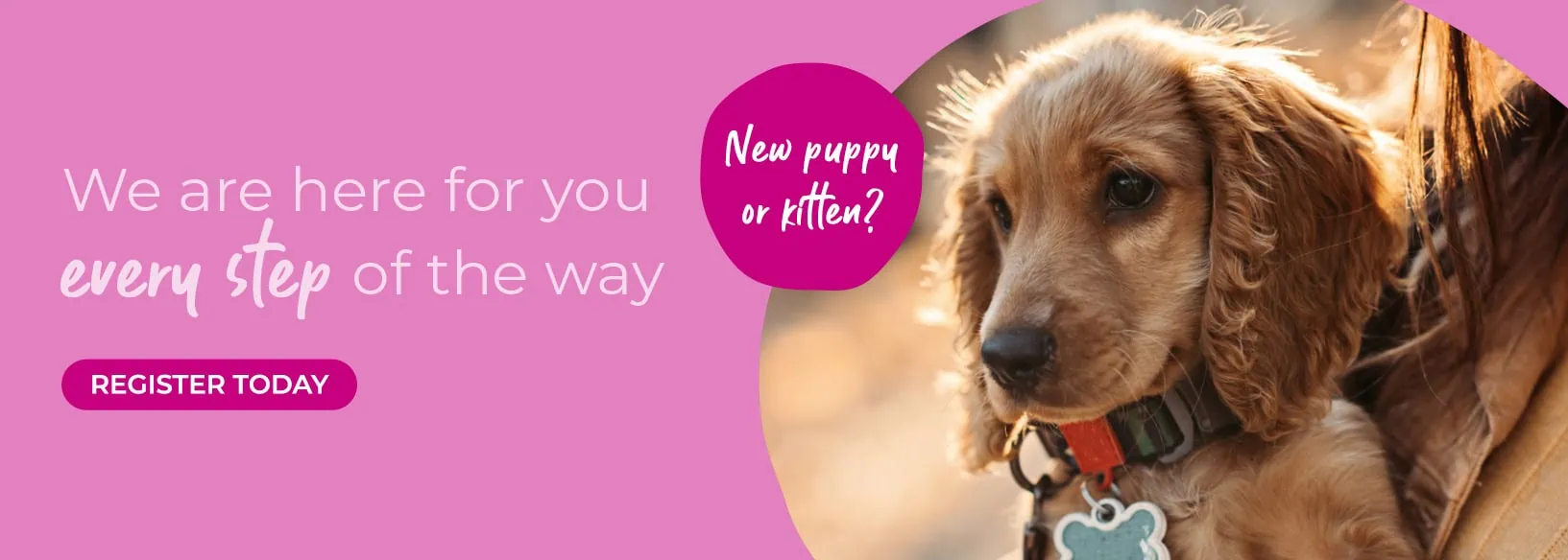 The Barn Animal Practice - Vets in Basingstoke